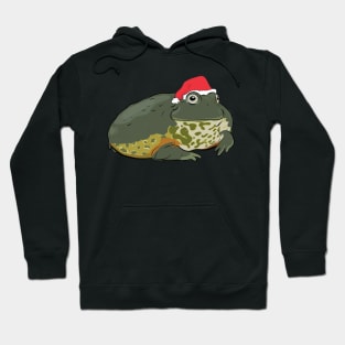 Santa Frog Hoodie